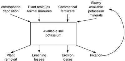 Quantifying and Mapping Atmospheric Potassium Deposition for Soil Ecosystem Services Assessment in the United States